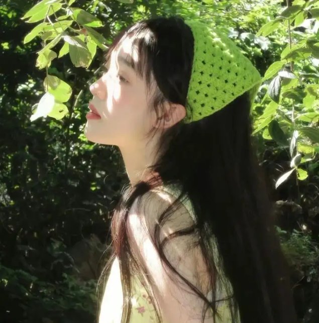 圣兽